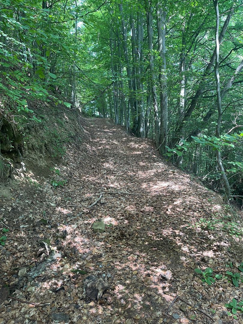 Teren intravilan I Loc deosebit, inconjurat de padure I Vladeasa - Poză 3