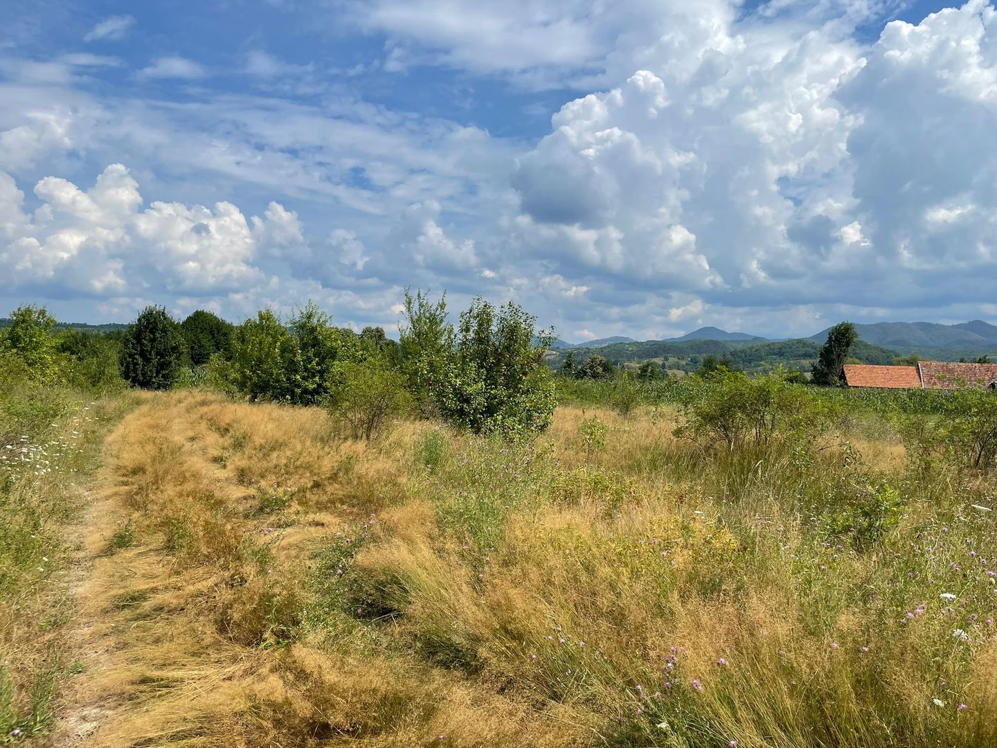 Teren de vanzare in Meziad. - Poză 6