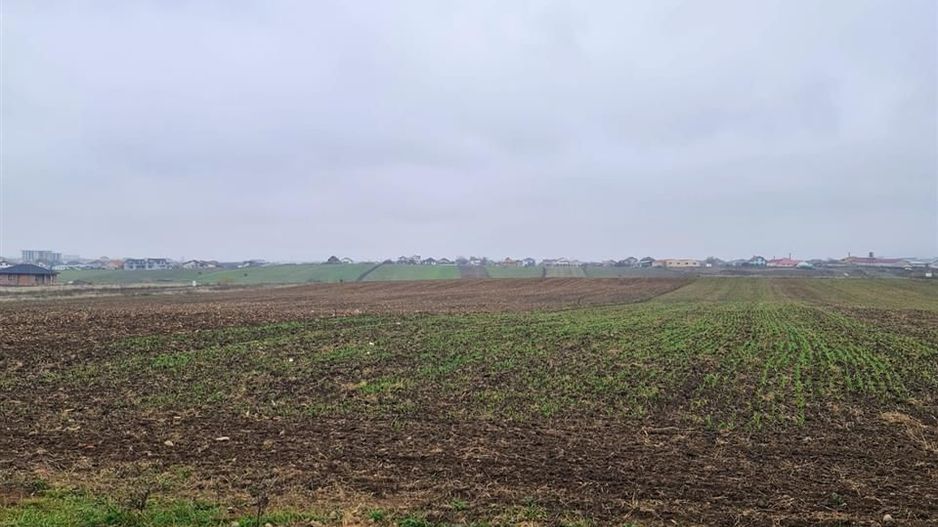 Teren Grigorescu 2 - Poză 4