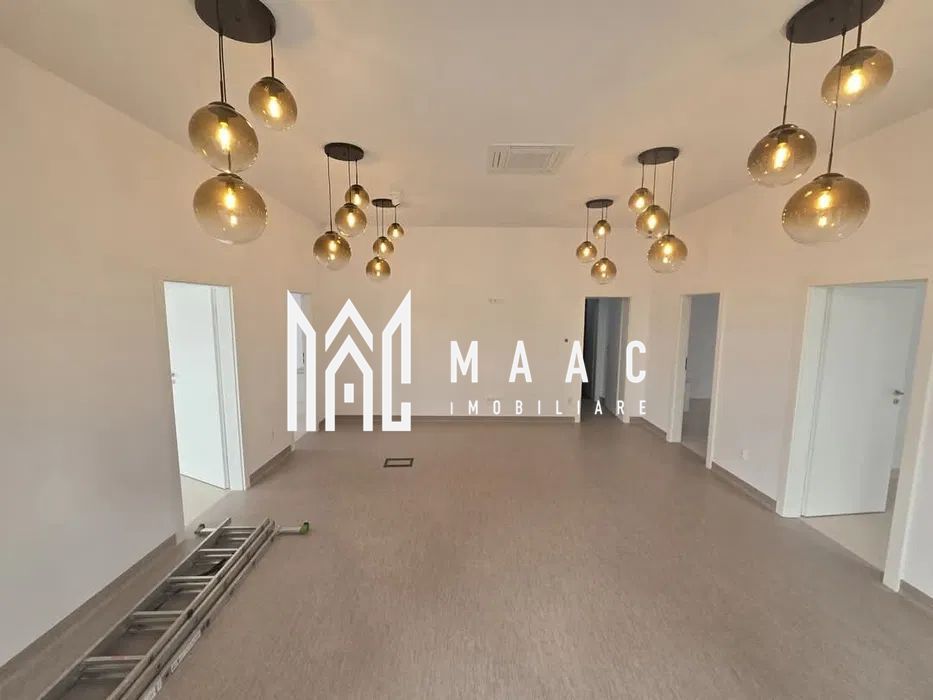 Spațiu Comercial de Închiriat | 125 mp | 6 Locuri Parcare | Doamna Stanca - Poză 2