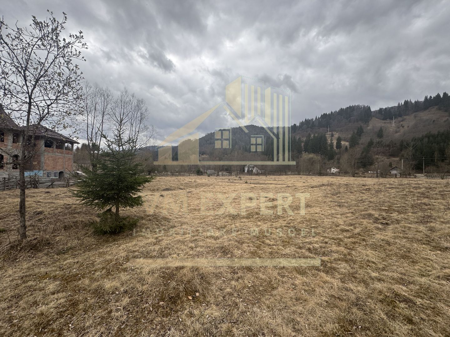 TEREN INTRAVILAN 500 MP SĂTIC- RUCĂR - Poză 15