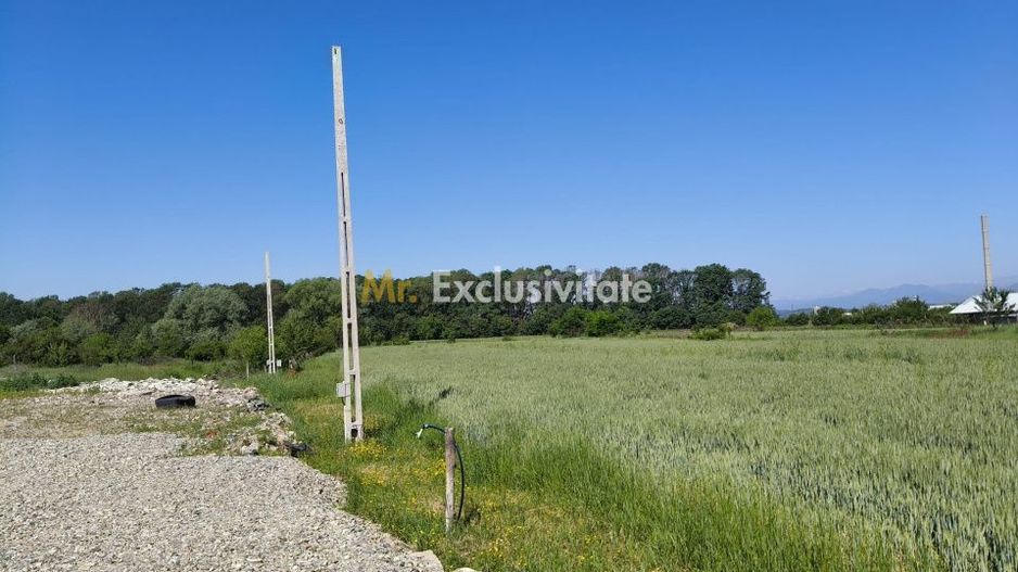 Teren 10.294 mp de vânzare Târgu Jiu | Intravilan + Extravilan | Utilități - Poză 6
