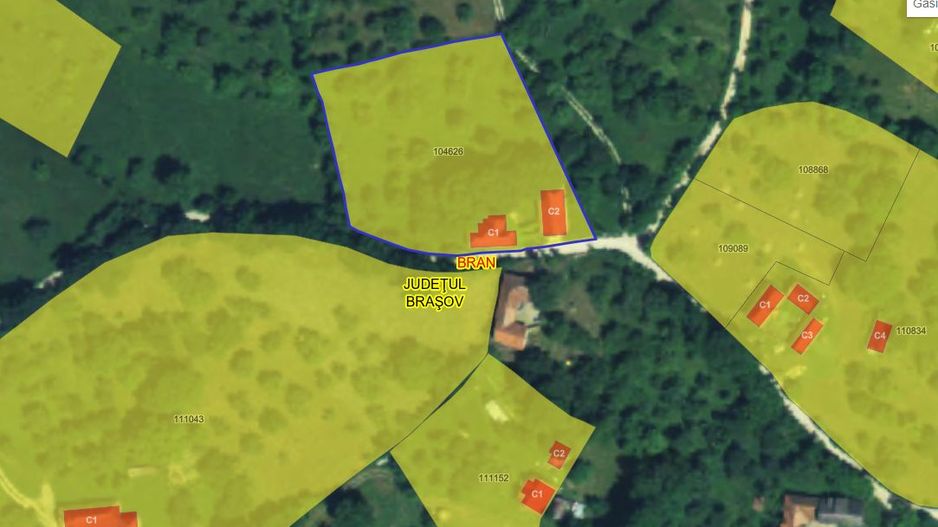 Bran-Sohodol, casă bătrânească cu utilități și teren 4039mp, comision zero. - Poză 6