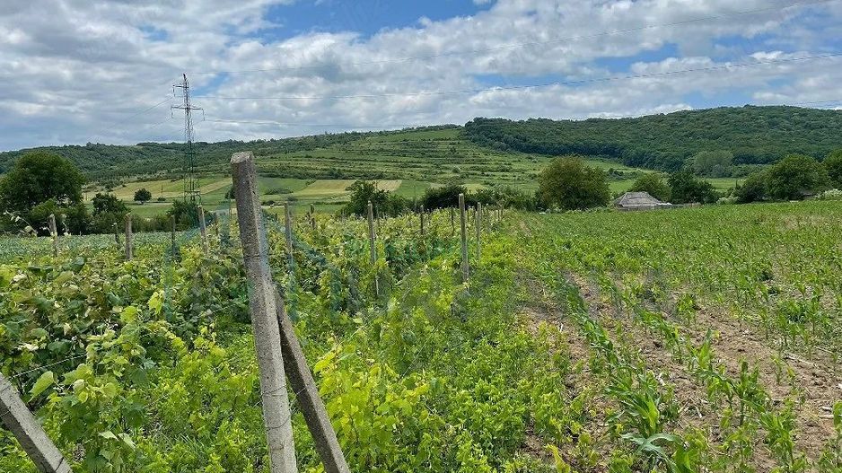 # De vanzare Casa 3 camere si teren 2000 mp com. Schitu Duca - Poză 9