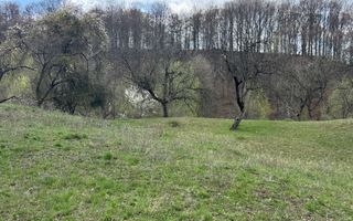 TEREN INTRAVILAN 4365 MP POENARII DE MUȘCEL  JUDEȚUL ARGES - Poză 26
