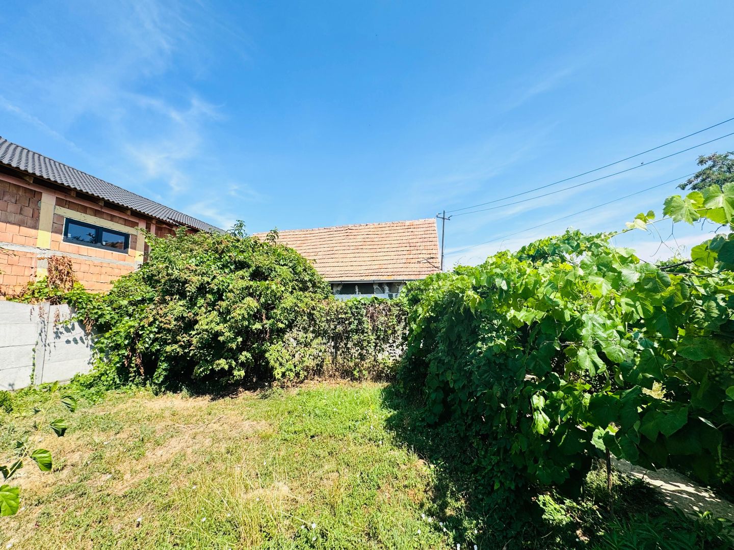 Casa cu 2 camere in Sacuieni - Poză 1