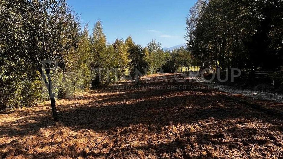 Parcele teren intravilan, cu utilitati - Bran, Tohanita - Poză 5