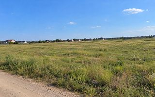 Teren 19397mp Dezmembrat in Loturi - Str. Primăverii Comuna Berceni - Poză 2