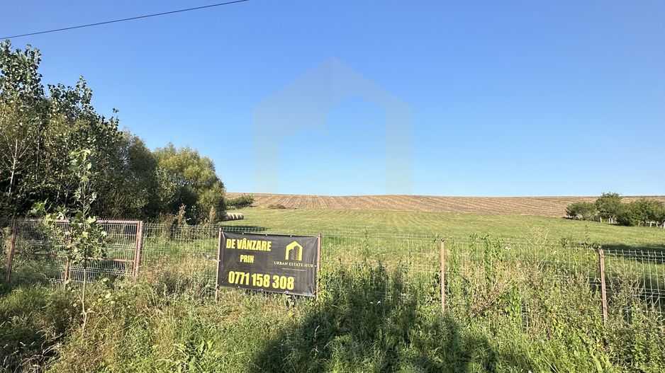 Vanzare teren 2936 mp, zona strada Dealu Fanatelor - Poză 6