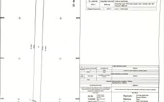 Persoană fizică, 5000mp, Letcani - Poză 2