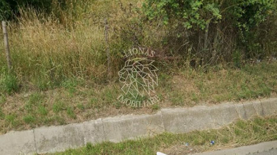 Teren intravilan 3400 mp-deschidere la DN17-Viisoara - Poză 2