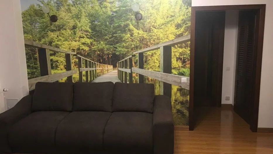 Apartament 2 camere de inchiriat Stefan cel Mare - Poză 3