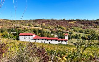 14Ha podgorie, livada pomi fructiferi, si conac 3000mp - Poză 1