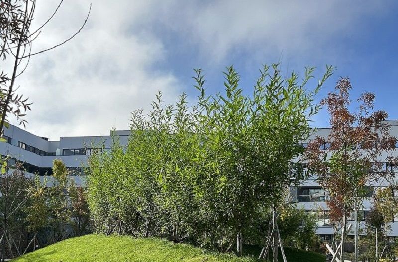 3 camere 75 mp SU + Balcon 8mp - Verdere curte interioară - Poză 23