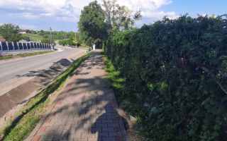 # intravilan în Țigănași la strada principală - Poză 3