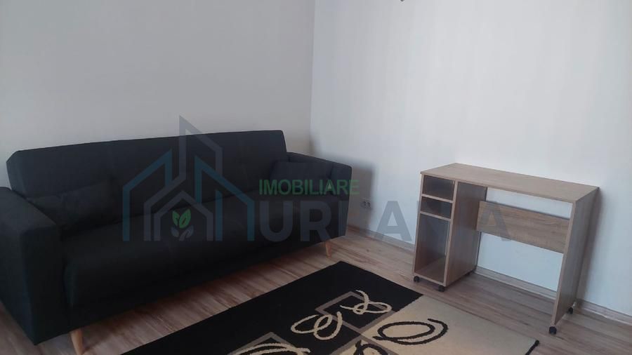Apartament open-space, 28 mp, de inchiriat - Rond Pacurari, Iasi - Poză 3
