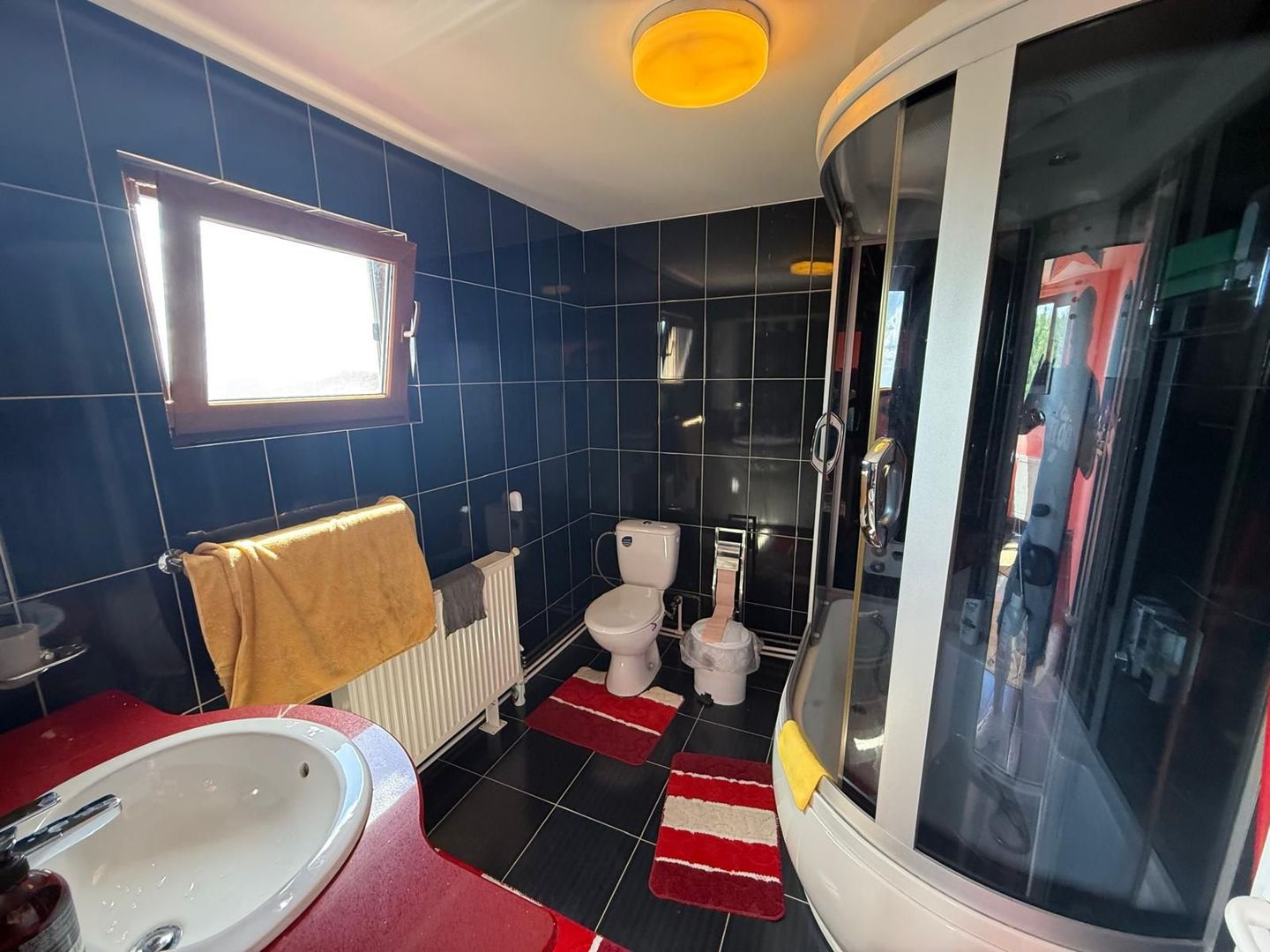 Vila S+P+1,+ garaj inchis + terasa si teren intravilan 6300 mp - Poză 18