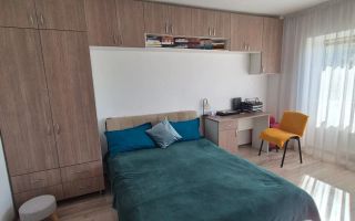 Apartament 1 cameră de închiriat în zona Arcu - Gara, la 5 minute de Piața Unirii, Iași - Poză 2