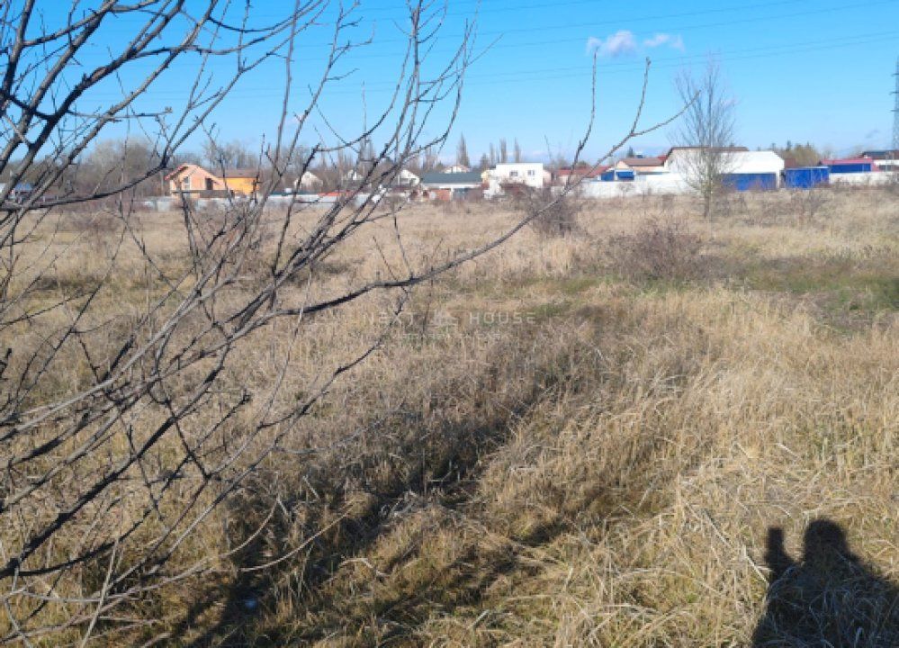 Teren Joita -  Bacu - Dragomiresti - Poză 4