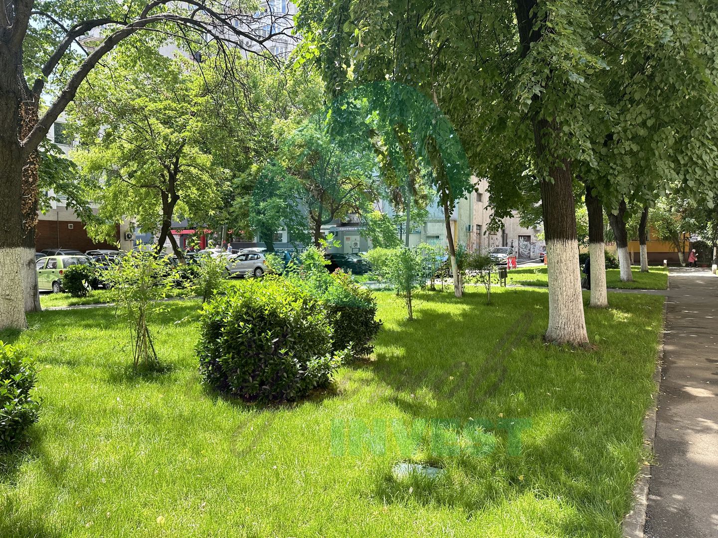 ACASA - unde infloresc teii - Poză 14