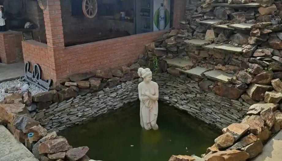 De vanzare vila, teren 500mp, Magurele - Poză 10