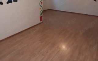 Vilă 9 camere, 280 mp utili gradinita afacere - Poză 7