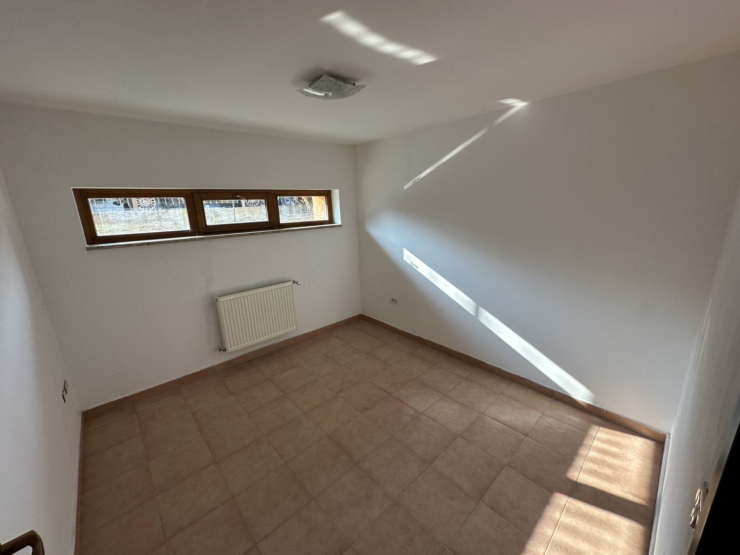 Proprietate cu piscina Dumbravita - Poză 56