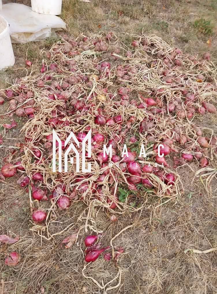 Proprietate cu 60000 mp pamant la pret de apartament - Poză 11