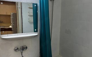 Apartament cu o camera in Dambu - Poză 7