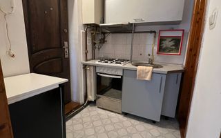 Garsoniera 21 mp-curte comuna-parter-Zona Spalatoria Mara - Poză 3