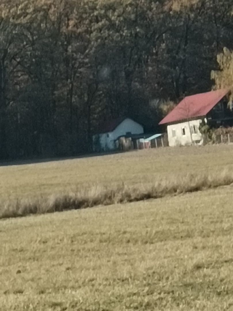 Teren langa Padure Dragomirna 40 Ari ISuceava/Dragomirna I 63.000Euro - Poză 1