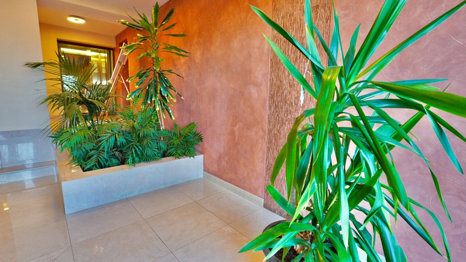 Apartament 3 camere - Bellevue Drumul Poienii - Poză 19