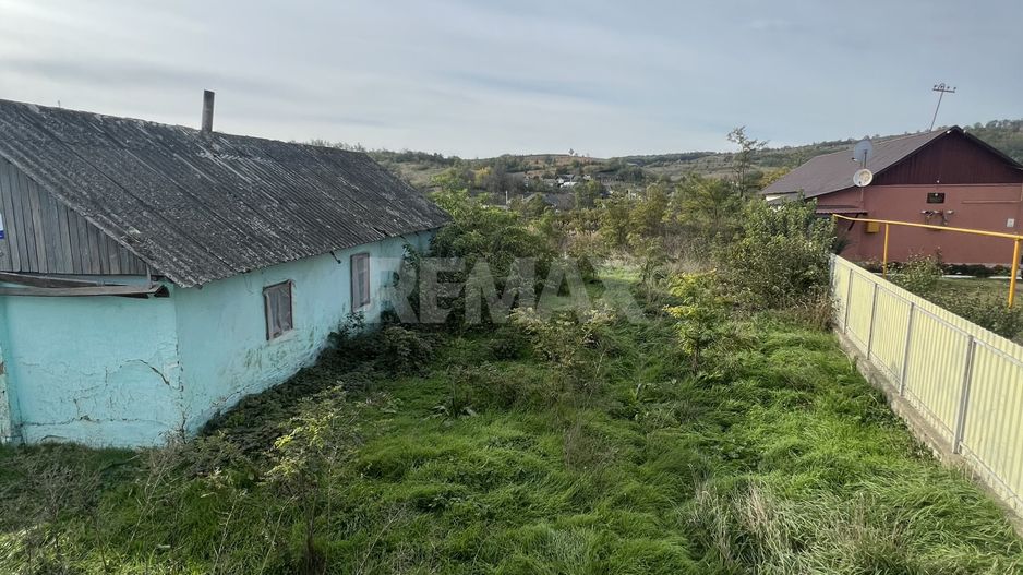Teren pentru Constructii 32 Ari in Molesti - Poză 4
