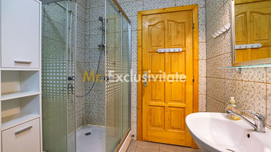 Casa moderna si casa bunicii + 6300 mp teren,Oaza autentica in Corbi Arges- - Poză 16