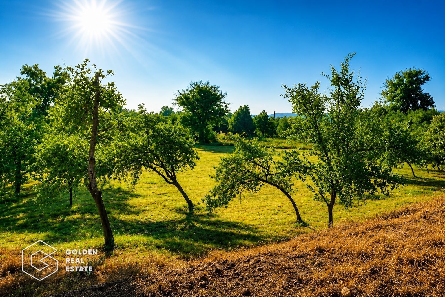 Teren agricol extravilan 250,47 ha, Șiștarovăț, județul Arad - Poză 2