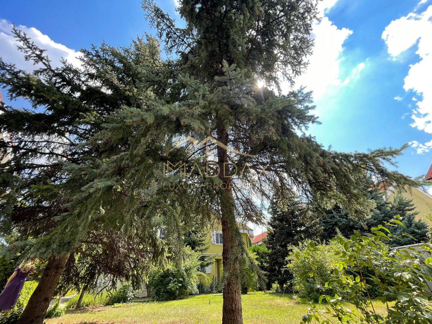 Amazing 6 Rooms Villa // Private Pool // 4 Parking Place / Erou Iancu Nicolae - Poză 53