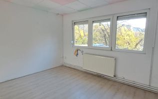 Dumul Taberei, Lidl Bd. Timisoara / Plaza Mall, spatiu pretabil birou