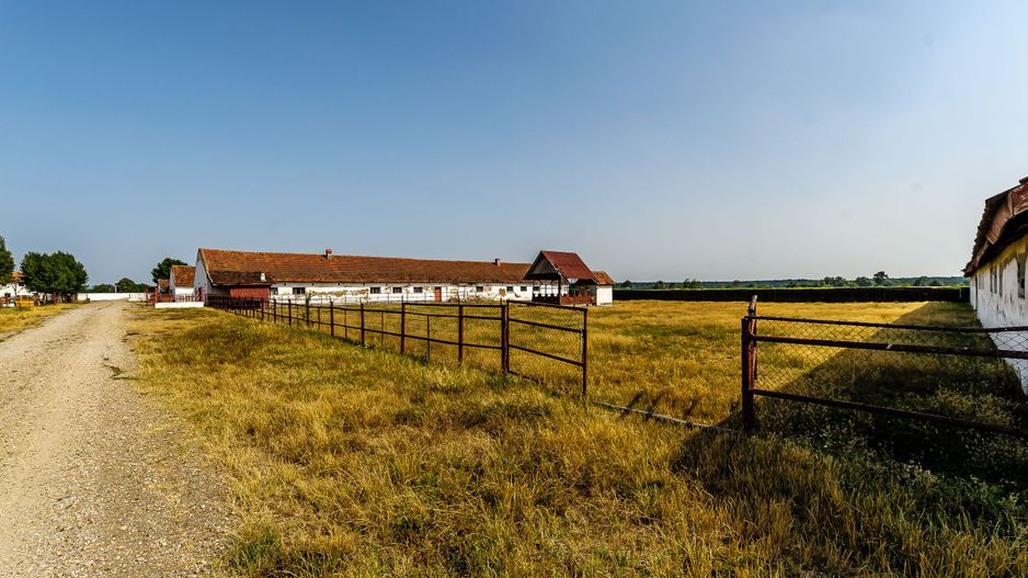 Fermă Mândruloc 2,5 ha - Poză 6