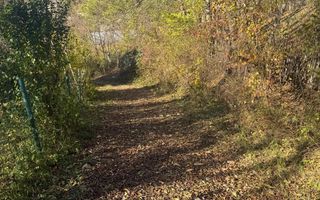 Teren langa pădure 6400mp+casa demolabila-deschidere 35 ml - Poză 14