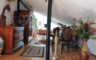 COTROCENI - Cuibușorul de nebunii al pictorului Zamfir DUMITRESCU - Poză 6