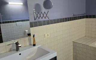VNZARE DUPLEX 4 CAMERE ZONA GRAND ARENA - Poză 11