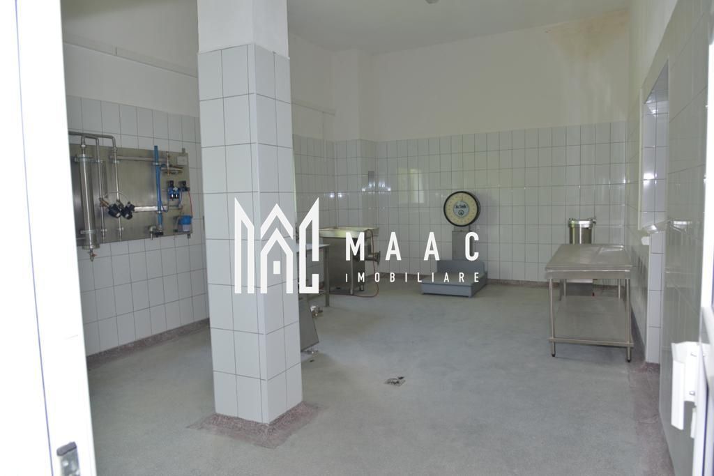 Fabrica de lactate utilata Sibiu - Poză 10