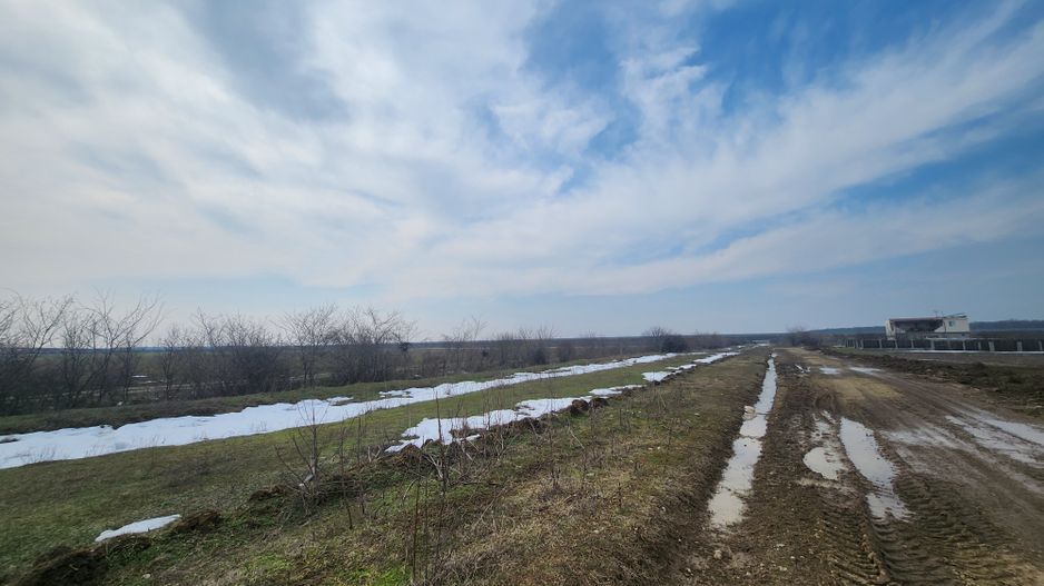 Teren intravilan 3,4 Ha Ciorogarla str.  Nicolae Iorga - Poză 4