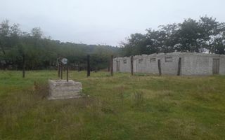 TEREN EXTRAVILAN 7.600 mp, VASLUI - zona REDIU; - Poză 1