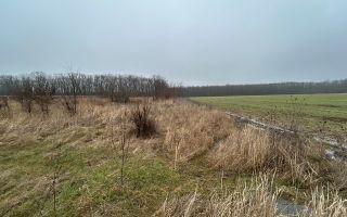 Teren intravilan de vânzare – 5.986 mp, Ciofliceni, Snagov (Ilfov) - Poză 1