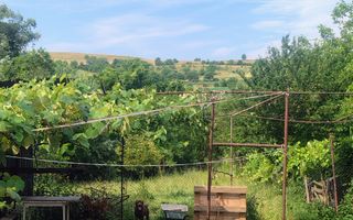 Casă cu teren 800 mp la 25 km de Sibiu – 3 camere, 124 mp – 65.000 € - Poză 2