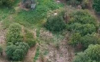 Teren intravilan pentru construcții locuințe, zona Galați, Iași - Poză 4