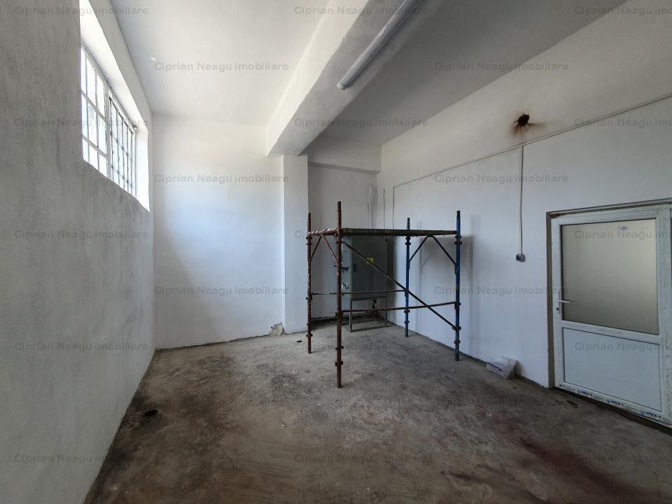 Hala Depozitare de Inchiriat Pitesti - Poză 13