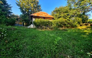 Teren Intravilan 3250 mp / Casa batraneasca / Pausesti Maglasi - Poză 5