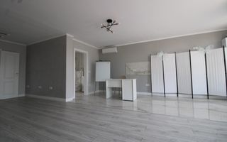 Curte, 4 apartamente, 8 camere, perfectă pt activități educaționale-Dumbravita - Poză 26